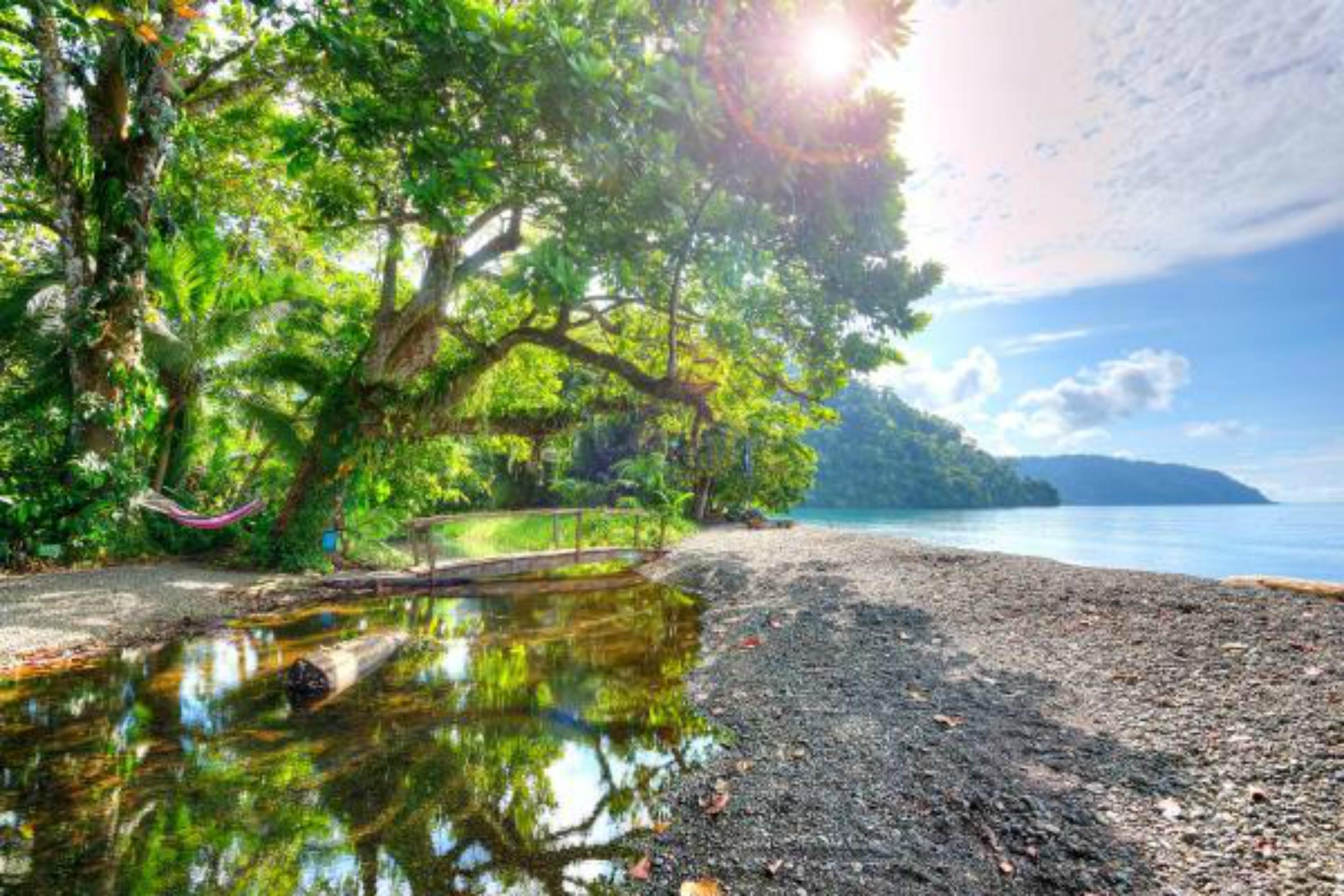 Playa Nicuesa Rainforest Eco Sanctuary Golfito Bagian luar foto