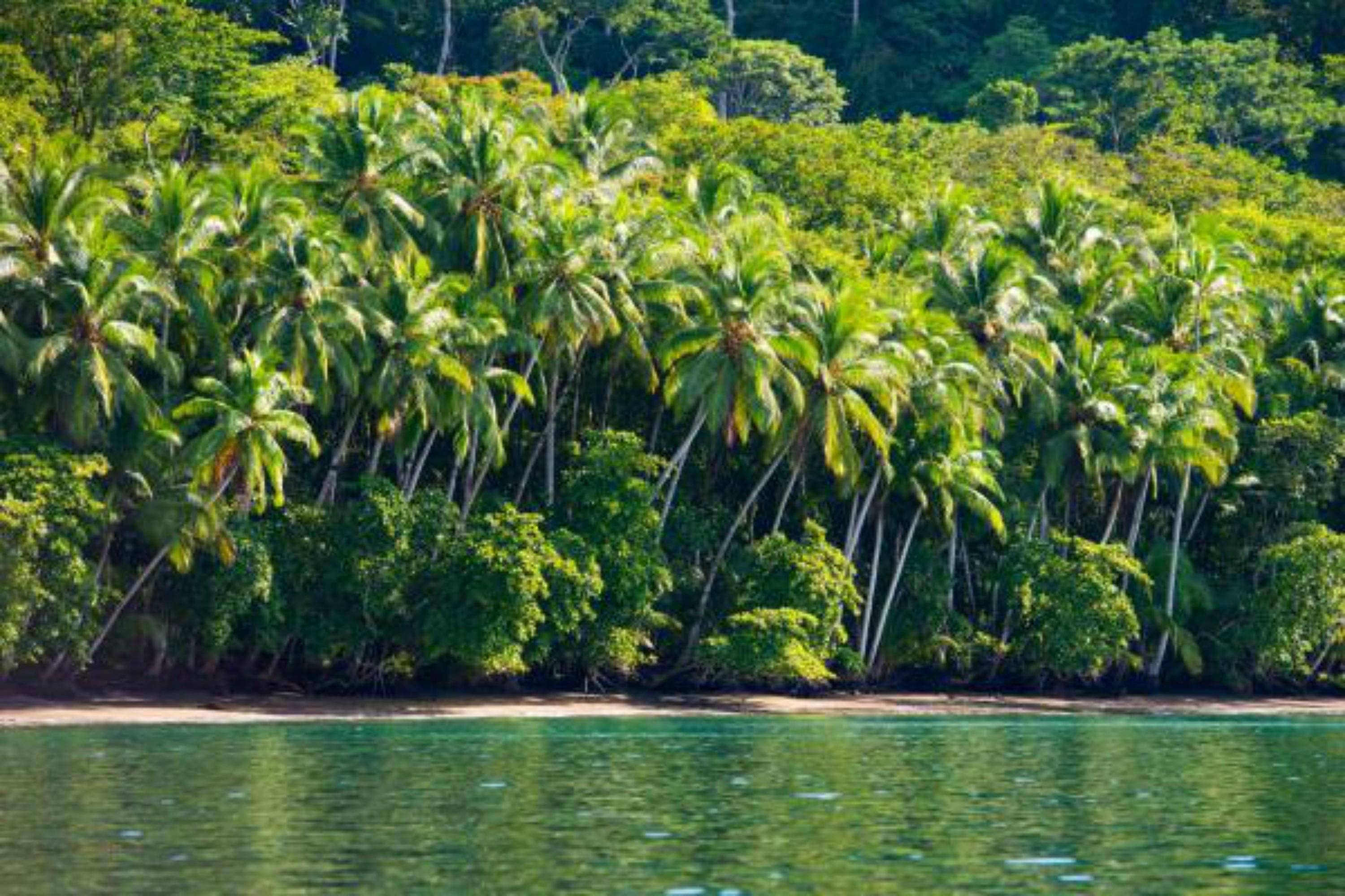 Playa Nicuesa Rainforest Eco Sanctuary Golfito Bagian luar foto