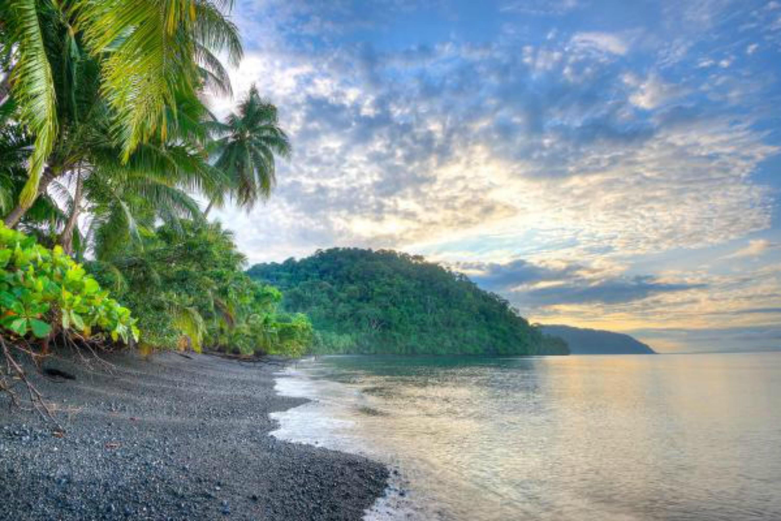 Playa Nicuesa Rainforest Eco Sanctuary Golfito Bagian luar foto