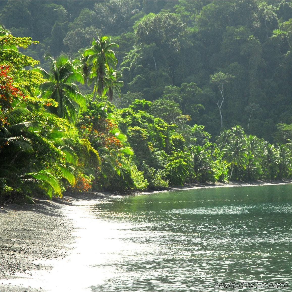 Playa Nicuesa Rainforest Eco Sanctuary Golfito Bagian luar foto