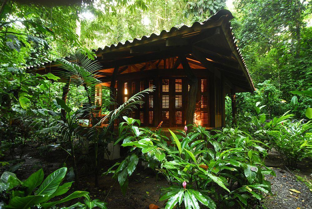Playa Nicuesa Rainforest Eco Sanctuary Golfito Bagian luar foto