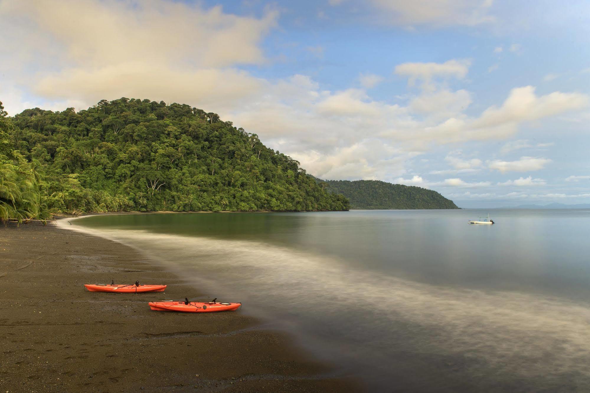Playa Nicuesa Rainforest Eco Sanctuary Golfito Bagian luar foto