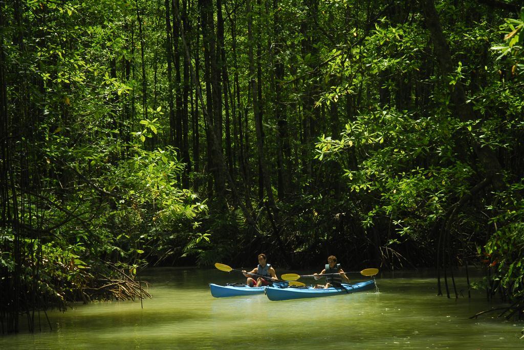 Playa Nicuesa Rainforest Eco Sanctuary Golfito Bagian luar foto